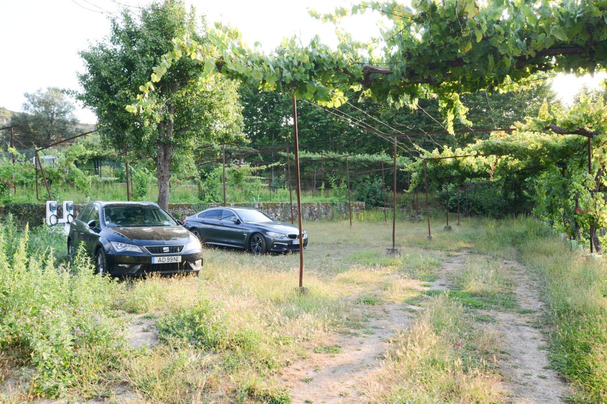 Villa Quinta Do Fundo Mondim de Basto Exterior foto